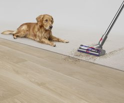 Dyson V15 Detect Cordless Vacuum slide 2 of 6