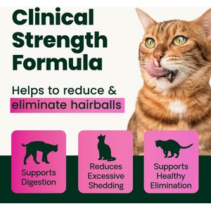 VetriScience Veterinary Strength Hairball Control Chicken & Cheese Flavored Powder Omega-3 Hairball Supplement for Cats, 6-oz can, 60 scoops