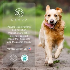 PawCo Hip & Joint Peanut Butter Cookies Functional Crunchy Dog Treats, 8.8-oz bag slide 2 of 8