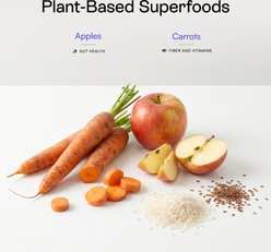 PawCo Vegetarian Recipe Pea Protein & Veggies Fresh Plant-Based Vegan Gently-Cooked Dog Food, 32-oz bag slide 2 of 8