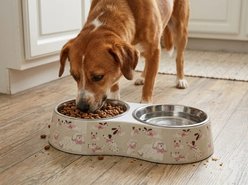 Spike & Stella Double Melamine Assorted Dogs Dog Bowls, Beige, Large: 2-cup slide 2 of 2