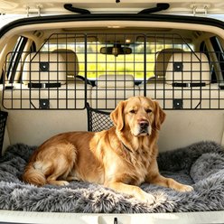 MIXXIDEA Adjustable Heavy Duty Wire Foldable Dog Car Carrier, Black, 16.3-in