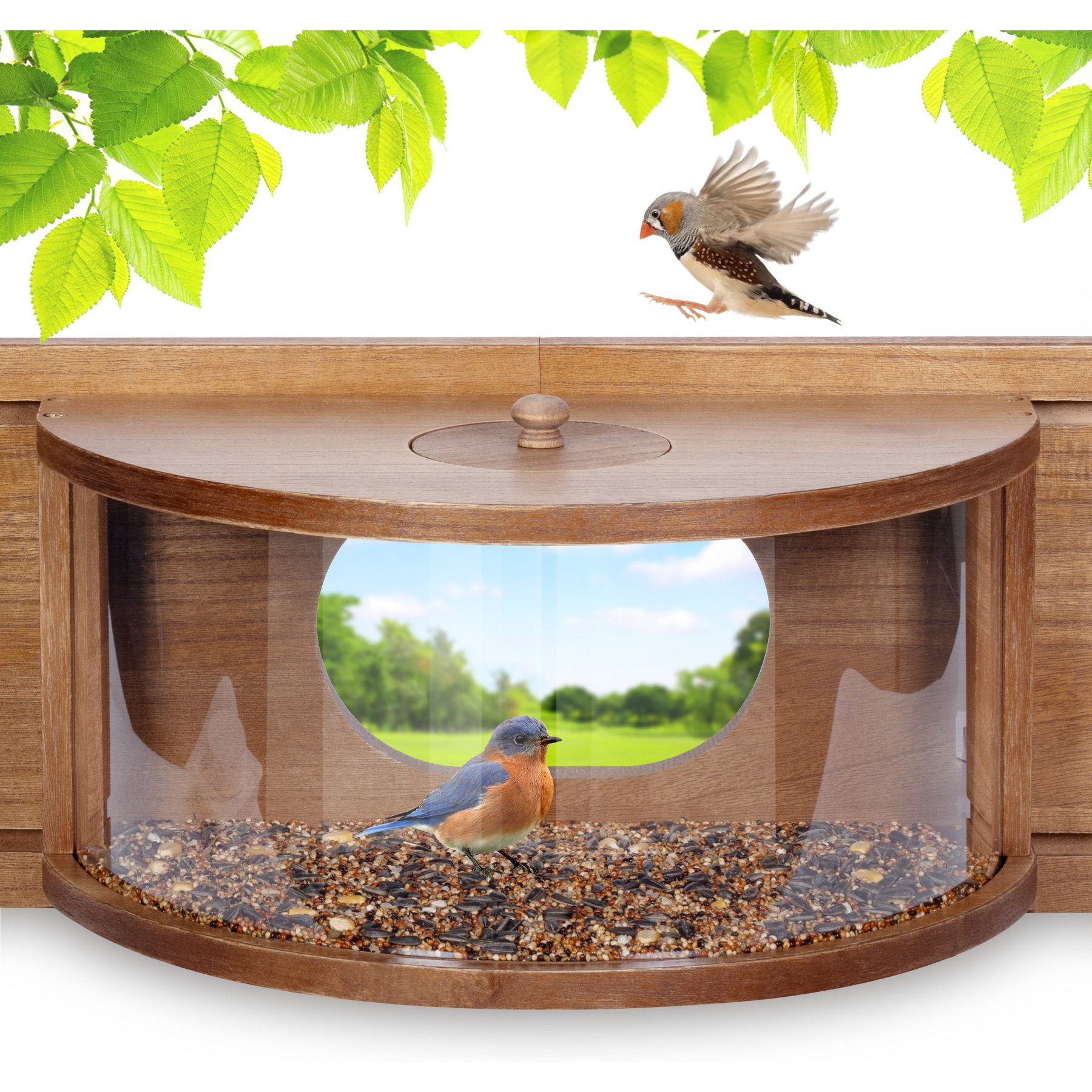 MIXXIDEA Window Inside House 180 Degree Clear View Durable Wood Safe Wild Bird Feeder, Brown, 22.83 x 9.05 x 9.05-in