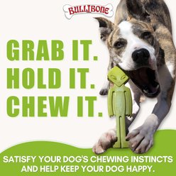 BulliBone Mystery Pack Dental Dog Chew Toy, Brown, Large, 3 count slide 2 of 4