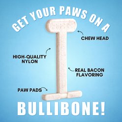 BulliBone Mystery Pack Dental Dog Chew Toy, Brown, Small, 3 count slide 2 of 4