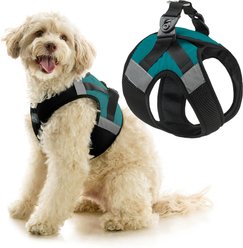 Gooby Soft Mesh X Step-In Dog Harness, Turquoise, Medium: 16 to 19.75-in. chest