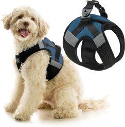 Gooby Soft Mesh X Step-In Dog Harness, Blue, Small: 13.5 to 17-in. chest