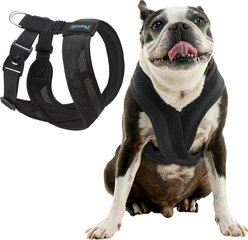 Gooby Escape Free Comfort X One Dog Harness, Black, Large: 19.25 to 22.75-in. chest