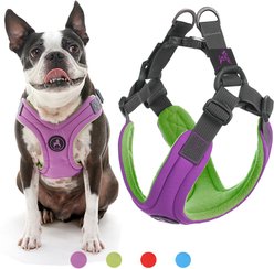 Gooby Escape Free Memory Foam Dog Harness, Purple, Small: 12.5 to 18.75-in. chest