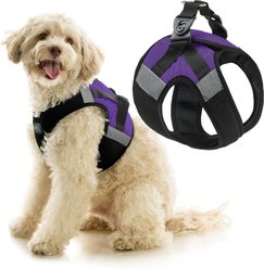 Gooby Soft Mesh X Step-In Dog Harness, Purple, Small: 13.5 to 17-in. chest