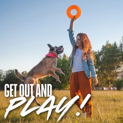 Nerf Dog TPR Tire Flyer Dog Flying-Discs Toy, Orange, 10-in slide 2 of 9