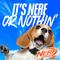 Show in main carousel: Nerf Dog Translucent TPR 3-Part Spike LED & Squeak Dog Ball Toy, Blue/Green, 3.3-in slide 9 of 9