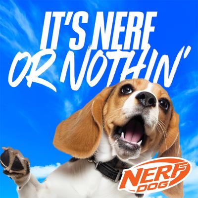 Show full view: Nerf Dog Translucent TPR 3-Part Spike LED & Squeak Dog Ball Toy, Blue/Green, 3.3-in slide 9 of 9