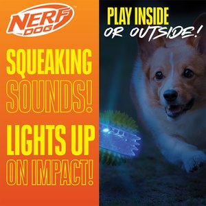 Nerf Dog Translucent TPR 3-Part Spike LED & Squeak Dog Ball Toy, Blue/Green, 3.3-in