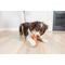 Show in main carousel: Chuckit! Bonze Crunch Turkey Drumstick Crinkle Dog Chew Toy, Orange, Medium slide 3 of 4