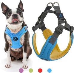 Gooby Escape Free Memory Foam Dog Harness, Blue, Large: 16.5 to 24.25-in. chest