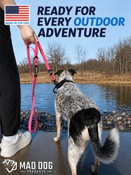 Mad Dog Products Biothane Waterproof Training Dog Leash, 6-ft long, 0.75-in wide, Orange slide 2 of 5