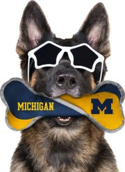 Littlearth NCAA Tug Bone with Squeaker Dog Toy, Michigan Wolverines slide 2 of 2