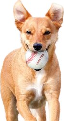 Littlearth NCAA Tough Chewer Baseball Dog Toy, Texas Tech Red Raiders