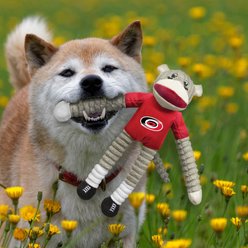 Littlearth NHL Sock Monkey Dog Chew Toy, Carolina Hurricanes slide 2 of 3