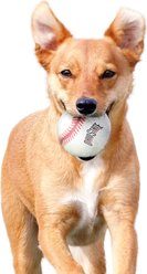 Littlearth NCAA Tough Chewer Baseball Dog Toy, Ohio State Buckeyes slide 2 of 2