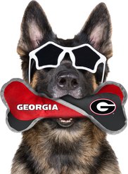 Littlearth NCAA Tug Bone with Squeaker Dog Toy, Georgia Bulldogs slide 2 of 2