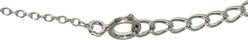 Penthouse Paws Paw Print Round Pendant Cat Mom Necklace, Silver, 19.8-mm