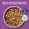 Show in main carousel: Nature's Recipe Adult Lamb, Barley & Brown Rice Recipe Dry Dog Food, 24-lb bag slide 4 of 13