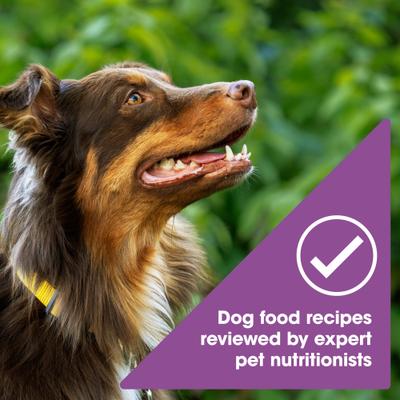 Show full view: Nature's Recipe Grain-Free Lamb, Sweet Potato & Pumpkin Recipe Dry Dog Food, 24-lb bag slide 6 of 12