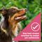Show in main carousel: Nature's Recipe Grain-Free Salmon, Sweet Potato & Pumpkin Recipe Dry Dog Food, 24-lb bag slide 6 of 12
