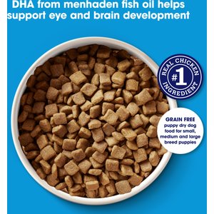 Nature's Recipe Grain-Free Puppy Chicken, Sweet Potato, & Pumpkin Recipe Dry Dog Food, 12-lb bag