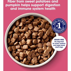 Nature's Recipe Grain-Free Salmon, Sweet Potato & Pumpkin Recipe Dry Dog Food, 24-lb bag