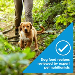 Nature's Recipe Grain-Free Puppy Chicken, Sweet Potato, & Pumpkin Recipe Dry Dog Food, 12-lb bag