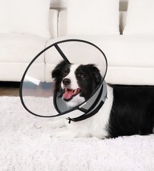 ICOYEA 2-in-1 Soft Sponge Donut Recovery with Clear Shield Adjustable E-Collar Dog Cone, Size 2 slide 2 of 8