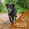 Show in main carousel: Nature's Recipe Mature Lamb & Brown Rice Recipe Dry Dog Food, 24-lb bag slide 6 of 13