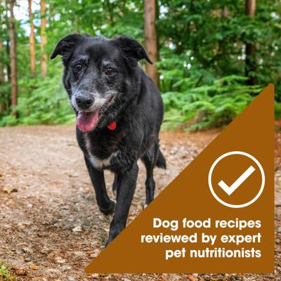 Show full view: Nature's Recipe Mature Lamb & Brown Rice Recipe Dry Dog Food, 24-lb bag slide 6 of 13