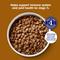 Show in main carousel: Nature's Recipe Mature Lamb & Brown Rice Recipe Dry Dog Food, 24-lb bag slide 4 of 13