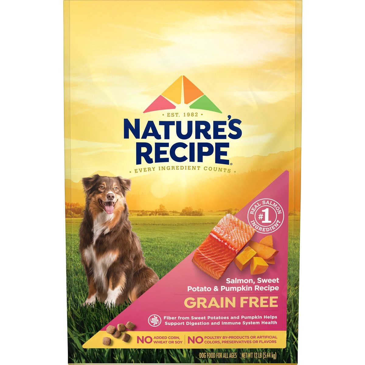 Nature's Recipe Salmon & Pumpkin Dry Dog Food, 12-lb bag