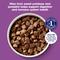 Show in main carousel: Nature's Recipe Grain-Free Lamb, Sweet Potato & Pumpkin Recipe Dry Dog Food, 24-lb bag slide 4 of 12