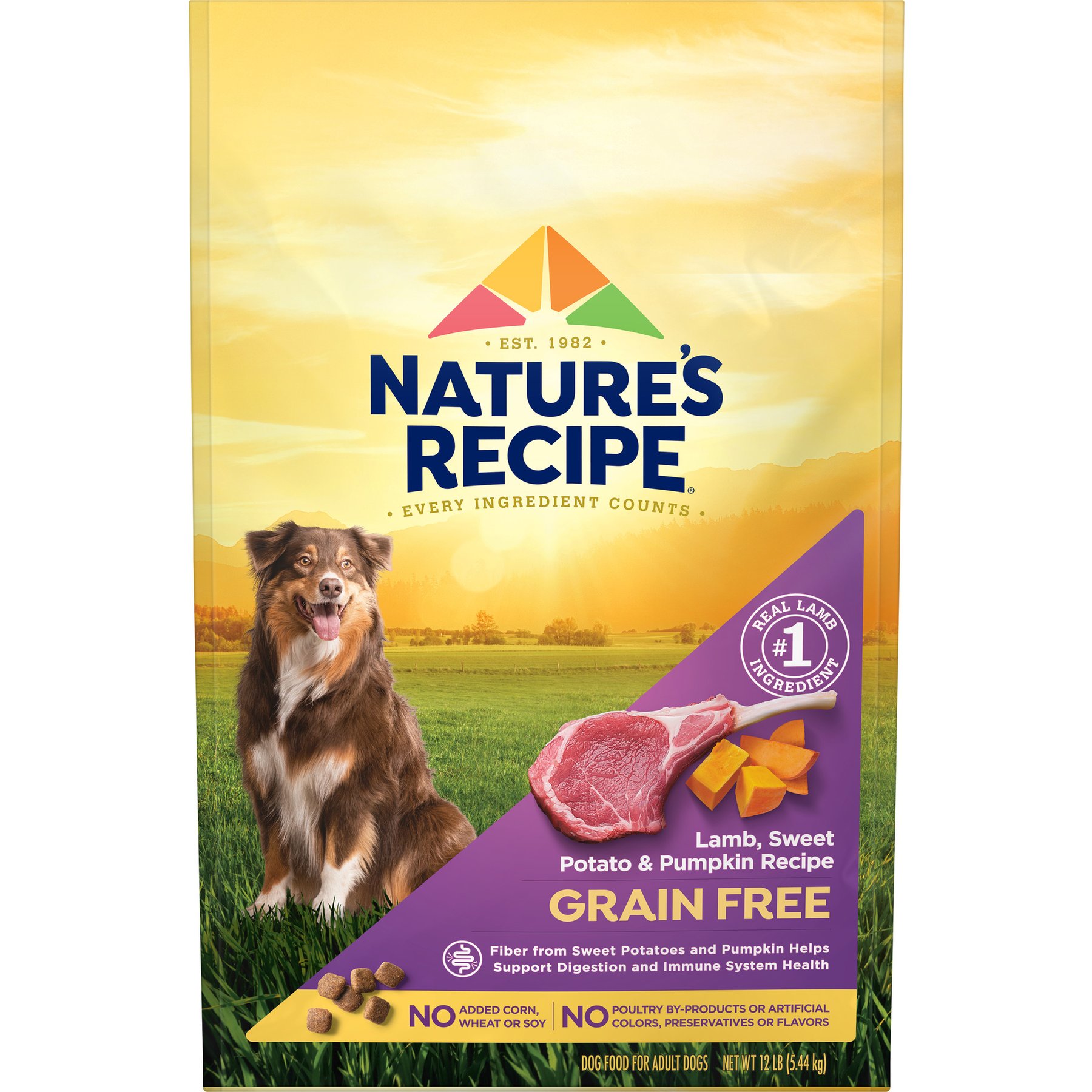 Nature's Recipe Grain-Free Lamb, Sweet Potato & Pumpkin Recipe Dry Dog Food, 12-lb bag