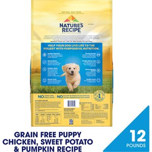 Nature's Recipe Grain-Free Puppy Chicken, Sweet Potato, & Pumpkin Recipe Dry Dog Food, 12-lb bag