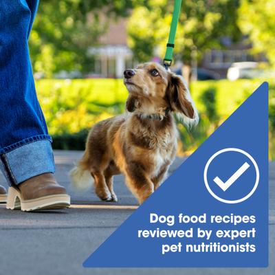 Show full view: Nature's Recipe Small Breed Grain-Free Chicken, Sweet Potato & Pumpkin Recipe Dry Dog Food, 12-lb bag slide 6 of 13