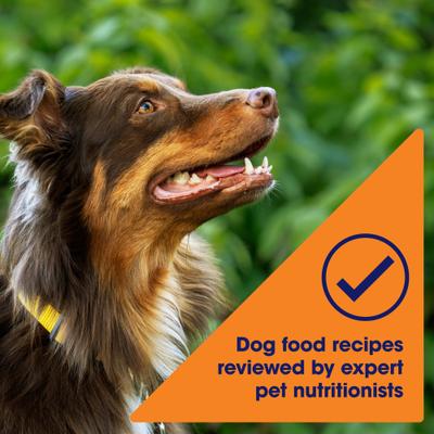 Show full view: Nature's Recipe Grain-Free Chicken, Sweet Potato & Pumpkin Recipe Dry Dog Food, 24-lb bag slide 6 of 13