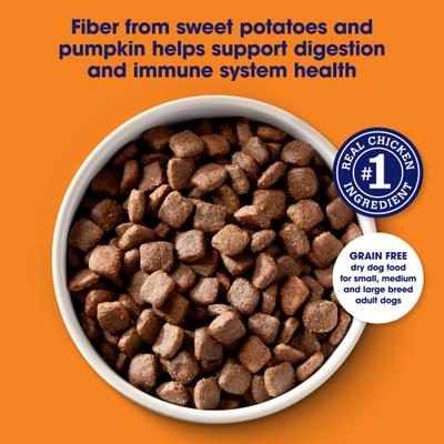 Show full view: Nature's Recipe Grain-Free Chicken, Sweet Potato & Pumpkin Recipe Dry Dog Food, 24-lb bag slide 4 of 13