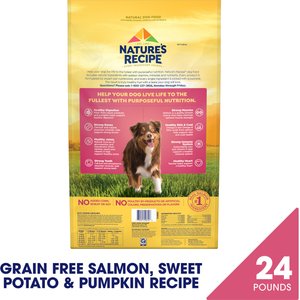 Nature's Recipe Grain-Free Salmon, Sweet Potato & Pumpkin Recipe Dry Dog Food, 24-lb bag