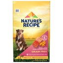 Nature's Recipe Grain-Free Salmon, Sweet Potato & Pumpkin Recipe Dry Dog Food, 24-lb bag