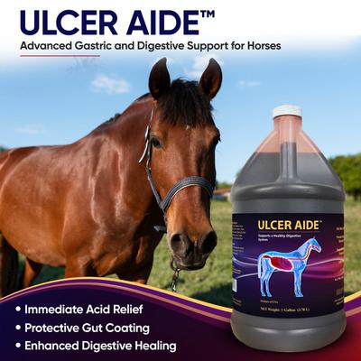 Ulcerease Liquid NUTRA CELL Ulcer Aide Liquid Horse Supplement, 1-gal bottle - Chewy.com