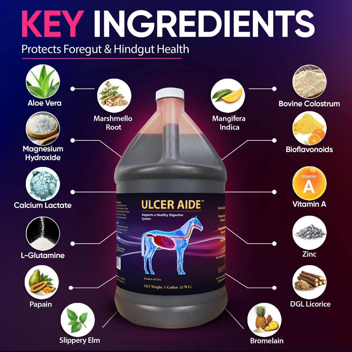Ulcerease Liquid NUTRA CELL Ulcer Aide Liquid Horse Supplement, 1-gal bottle - Chewy.com