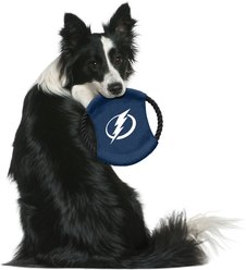 Littlearth NHL Flying Disc Dog Toy, Tampa Bay Lightning slide 2 of 2