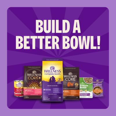 Show full view: Wellness Complete Health Adult Wholesome Grains Natural Chicken & Oatmeal Dry Dog Food, 30-lb bag slide 8 of 11